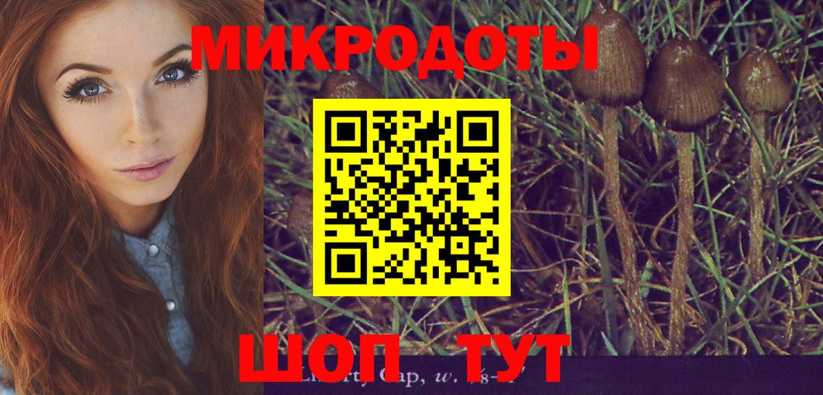 Галлюциногенные грибы мицелий  Вход с VPN  Кострома  Галлюциногенные грибы мицелий 